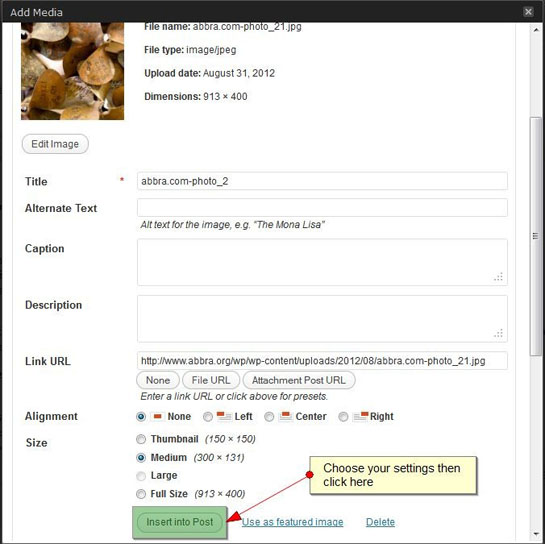 Screenshot of the Add Media interface in a website content management system. The user is learning how to add media files in WordPress by uploading an image and selecting size settings before clicking "Insert into Post.