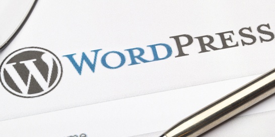 A close-up image of the WordPress logo on a white background with a metallic pen partially visible at the bottom right, evoking thoughts of "How to Create a Blog Post in WordPress.