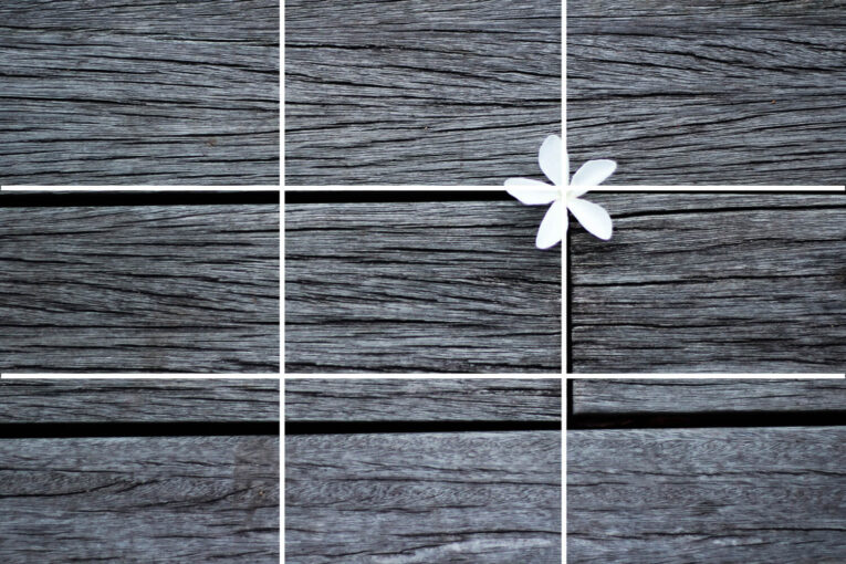 A white flower is positioned in the gap between dark, horizontal wooden planks, intersected by thin white lines forming a grid pattern over the image.